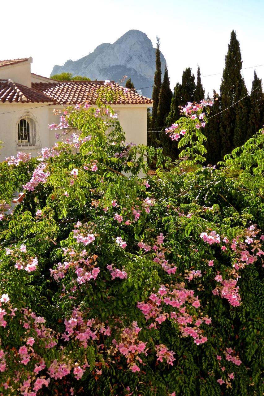 Villa Benavero Boutique Style Within Fenced Tropical Garden Calp Exterior foto